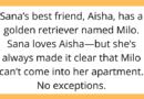 AITAH for Kicking Out My Best Friend After She Brought Her Dog to My “No Pets” Apartment Without Asking?